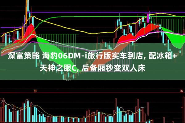 深富策略 海豹06DM-i旅行版实车到店, 配冰箱+天神之眼C, 后备厢秒变双人床